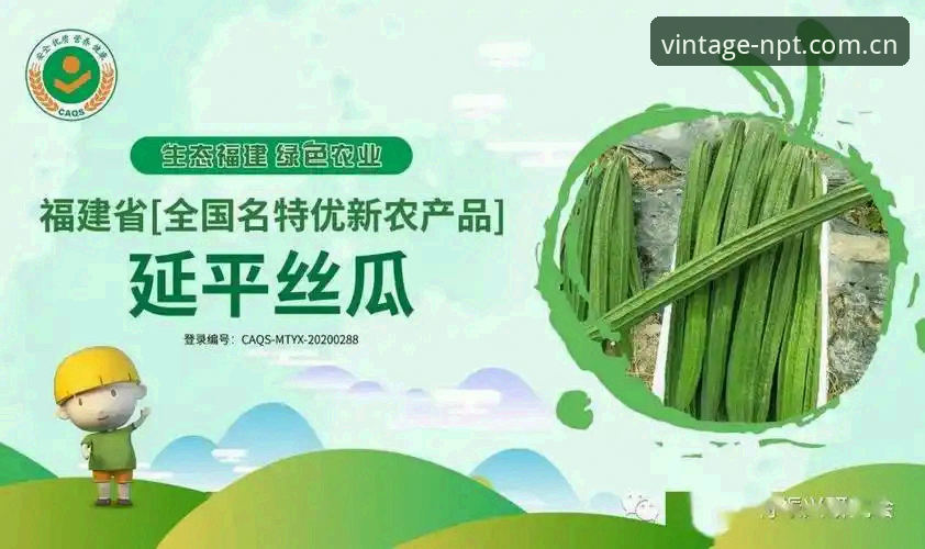 新葡萄怎么下载 新葡萄怎么下载?官方平台安装全流程解析与安全指南