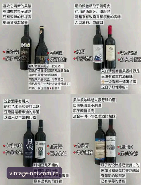 新葡萄经典品牌 掌握新葡萄经典品牌实用指南:从安装到体验的全流程解析
